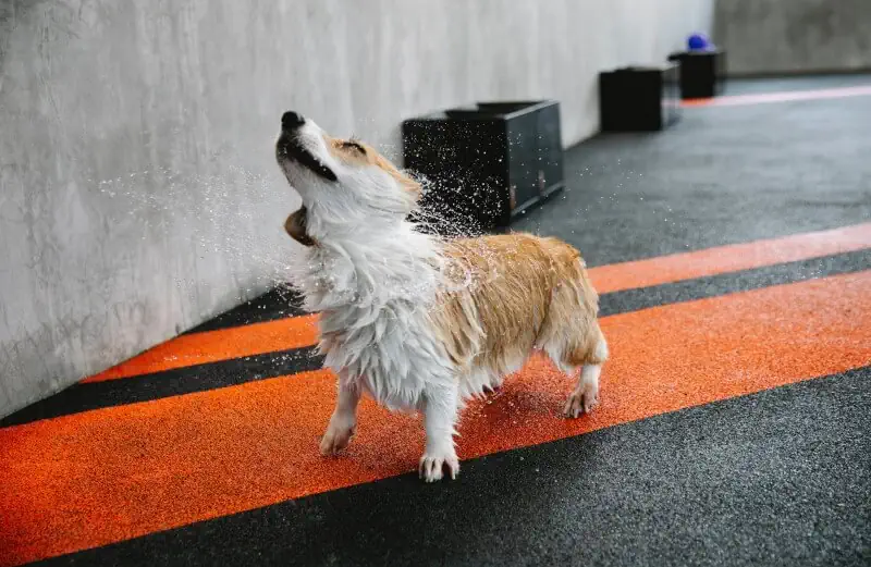 Wir lassen Sie nicht im Regen stehen